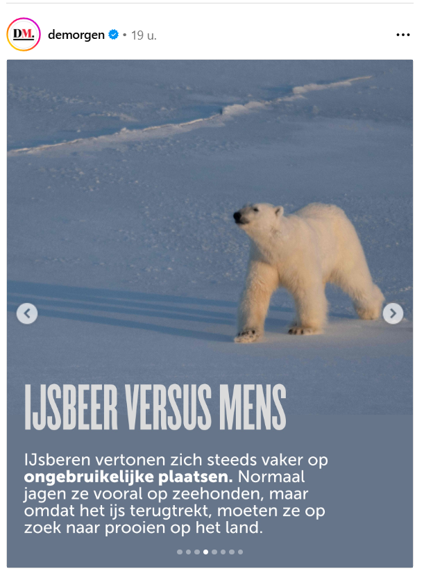 Bron: <a href="/demorgen/">De Morgen</a> op <a href="/instagram/">Instagram</a> 

Zag onlangs een ijsbeer op de parking van Kinepolis Antwerpen.  Sprak hem aan en hij zei: 'Waanzin wat ze hier voor een bak popcorn vragen'