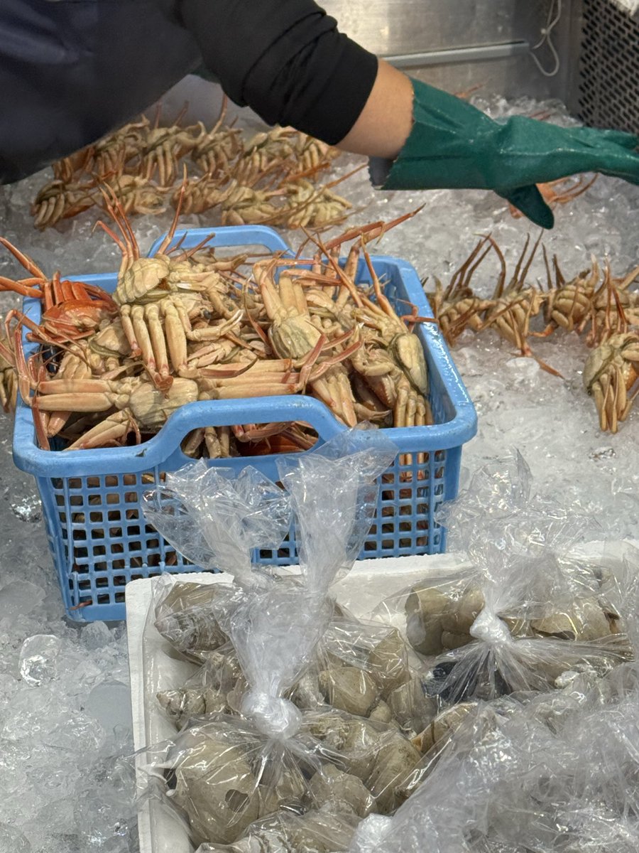 あゆちゃん　中国産カニ化石 あゆちゃん様専用 中国産カニ化石