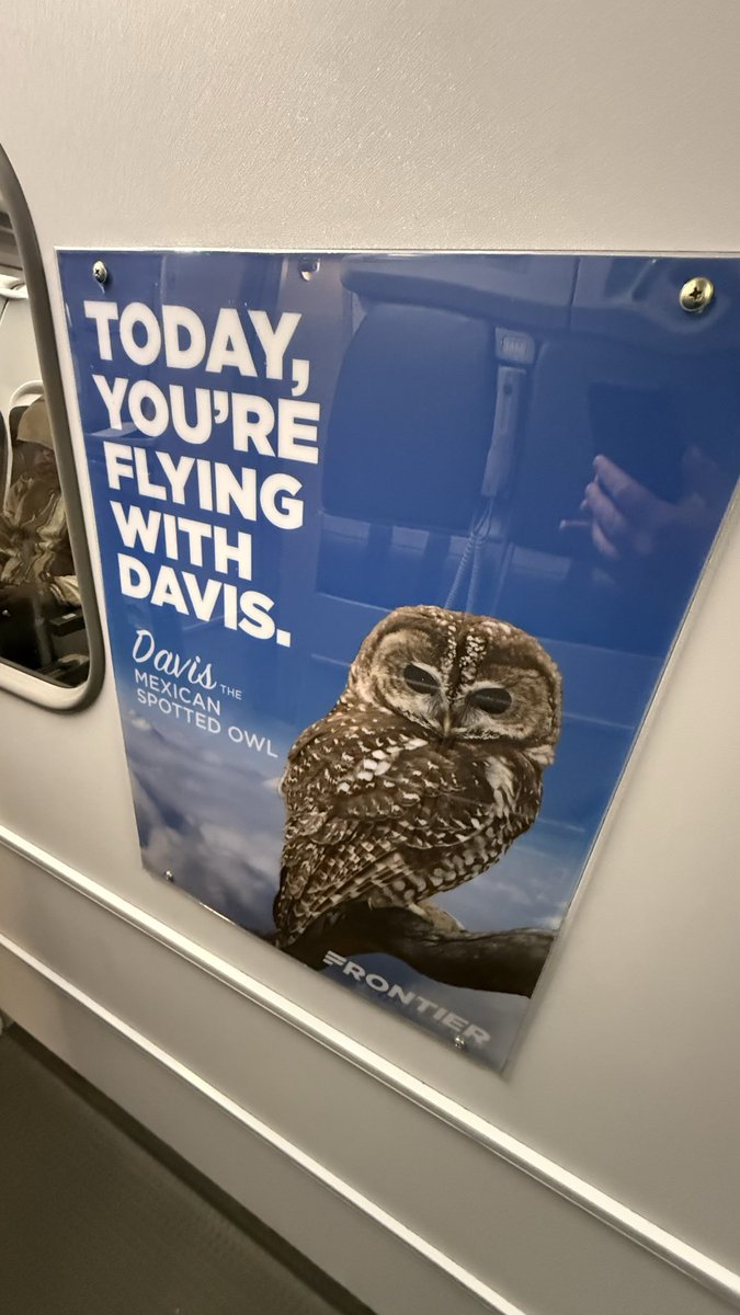 The Legend (@inthelooplegend) on Twitter photo 