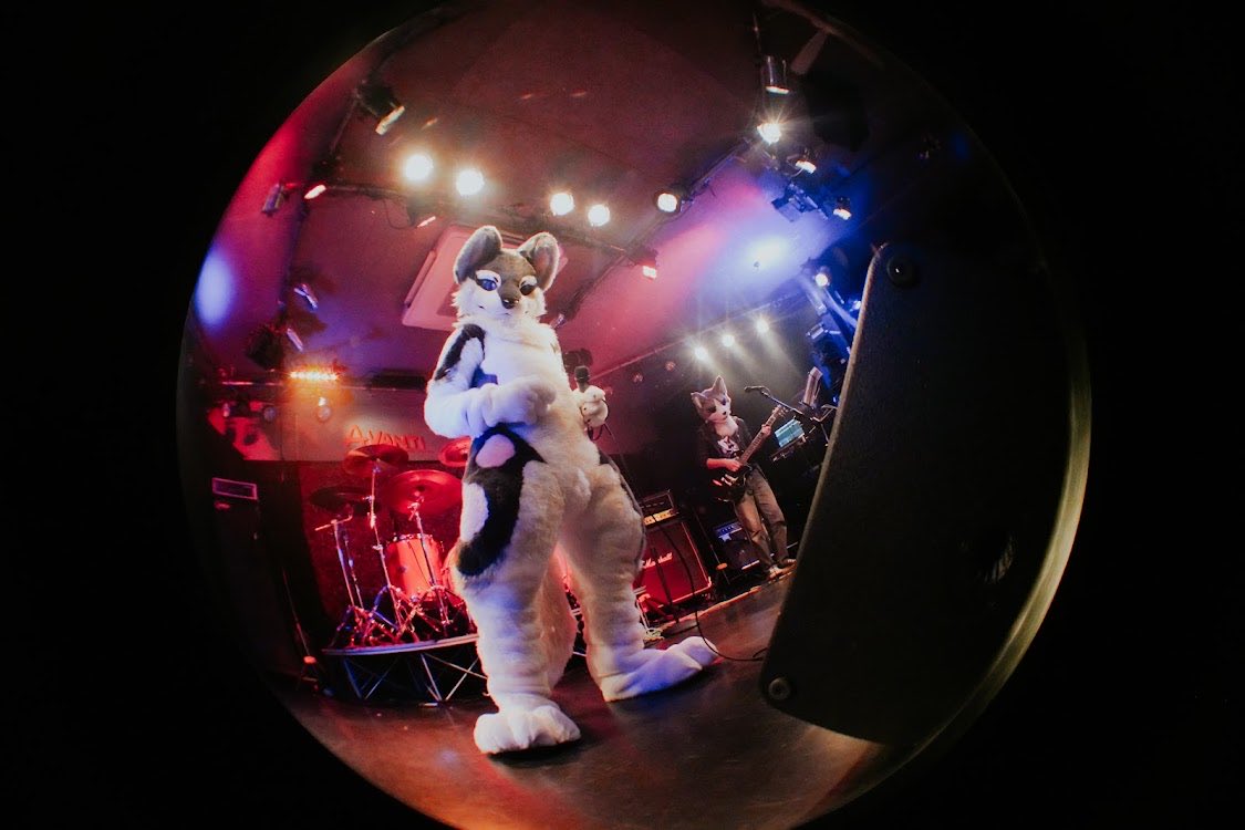 MOCHICHIwolf's tweet photo. じー…………
#FMD2 
#もちもち餅吉 https://t.co/5ts6vVpodJ