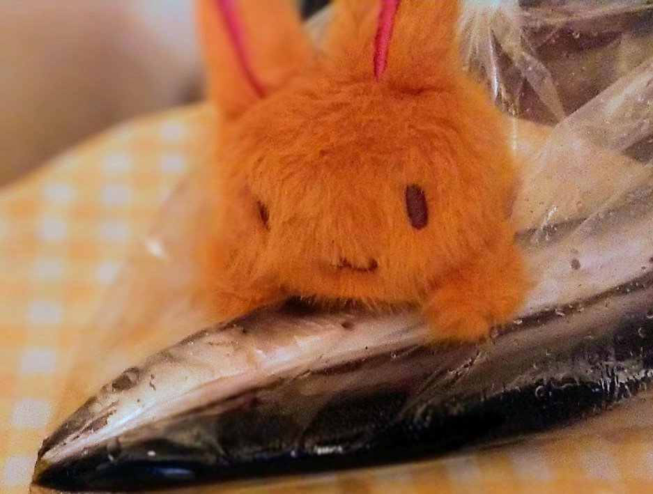 ⚠️プロフィール必読お願いします⚠️ 不審な操作を検出】アカウント保護のためご確認をお願いいたし