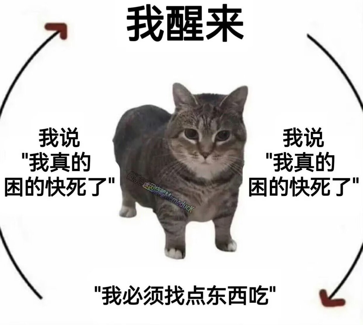 恋 (@hgds01) on Twitter photo 