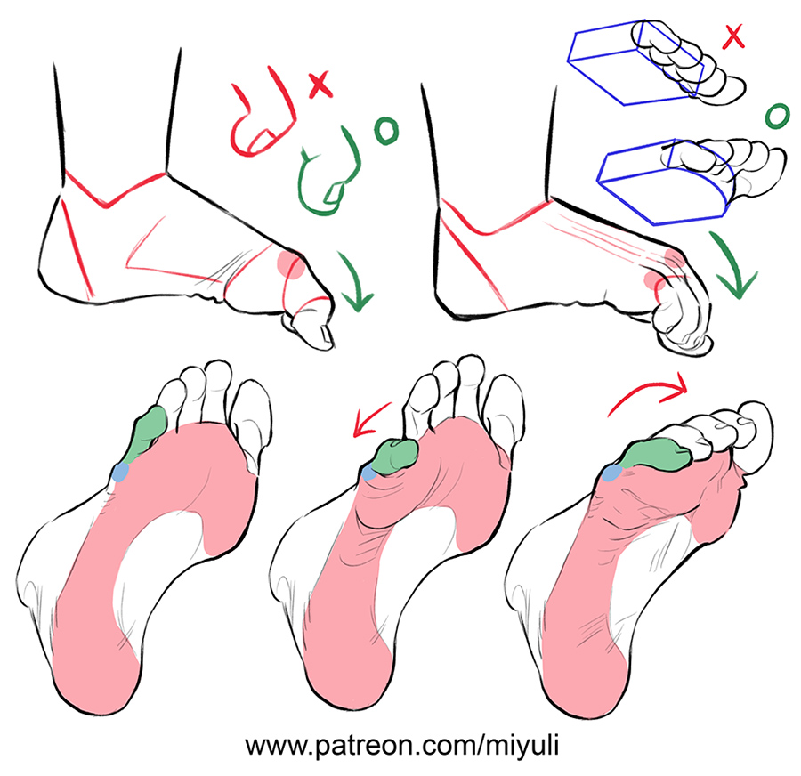 xppenusa's tweet image. #XPPenTutorial
Feet study time! ✨
Learning from the amazing @miyuliart 💪
#tutorial #art #artist #arttips #arttutorial #xppen