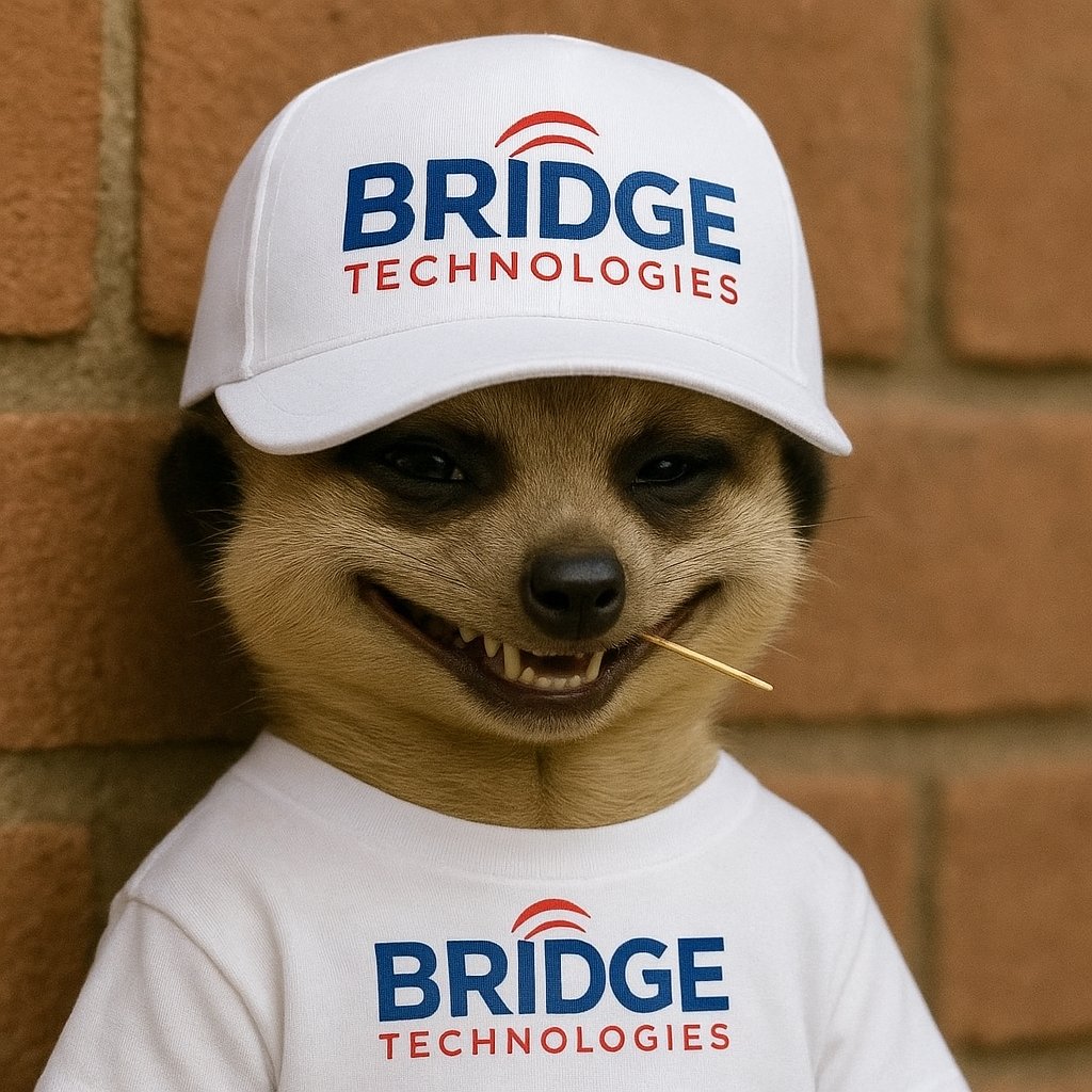 GHBridgeTech's tweet image. Bridge Technologies watching you buy fake Ruijie products from unauthorized dealers instead of buying from us the only sole distributor in Ghana