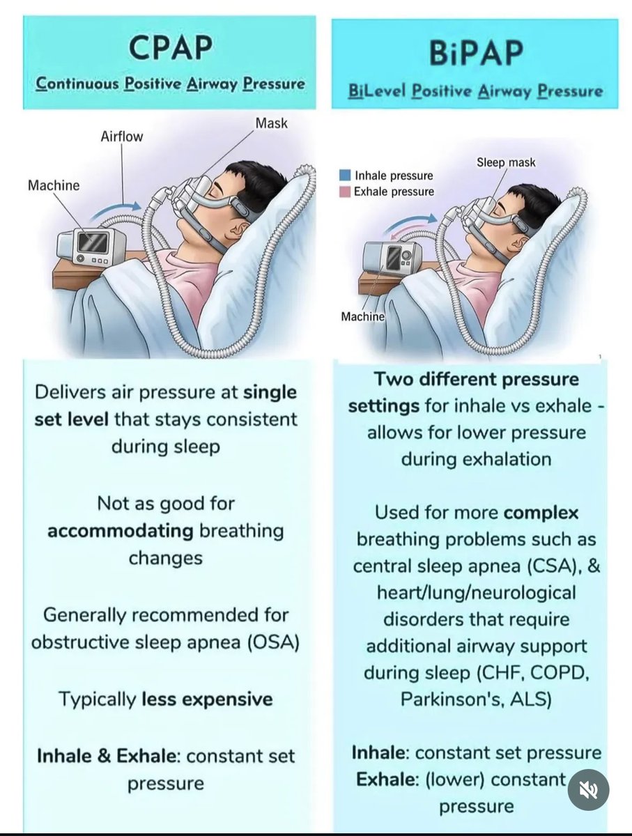 Dr Honey choudhary 🩺 tweet media