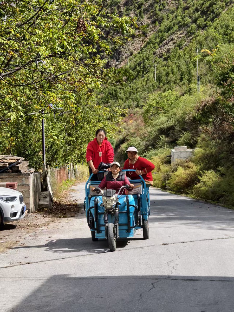 mrrisk's tweet image. Quality workforce is not just challenging for metropolitan like Hong Kong, but also Diqing country, Yunnan. 
Guess who is willing to work in such a beautiful Cabernet Sauvignon grape fields? 

Project #GutCommon for good farmers and your gut by #Radica
#Yunnan
#Shangrila