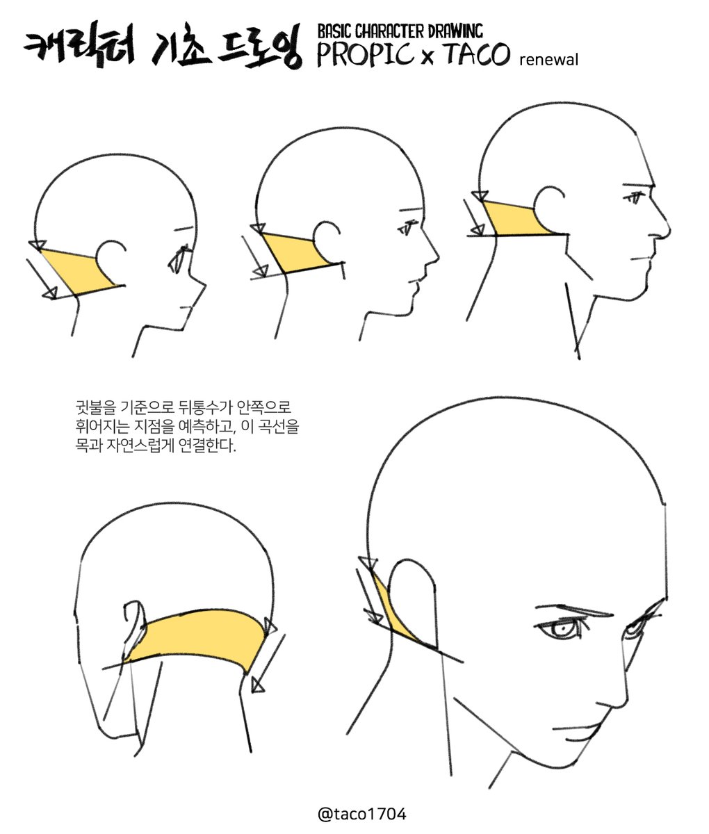 taco1704's tweet photo. 귀를 기준으로 뒤통수가 안쪽으로 휘어지는 지점을 예측한다. https://t.co/FSPSrcPFaI