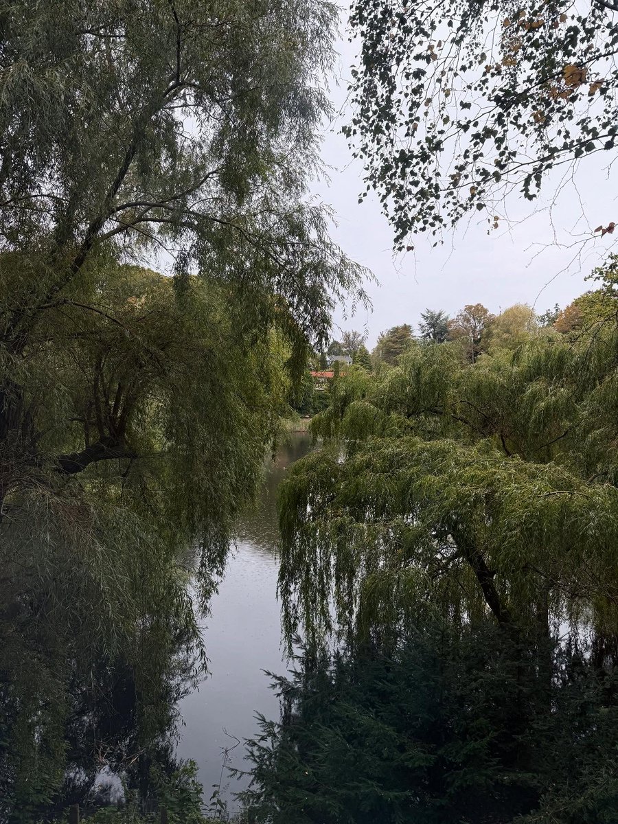 ㅤ
⌈ now spinning ⌋
▸ open.spotify.com/track/0sKymIft…
ㅤ