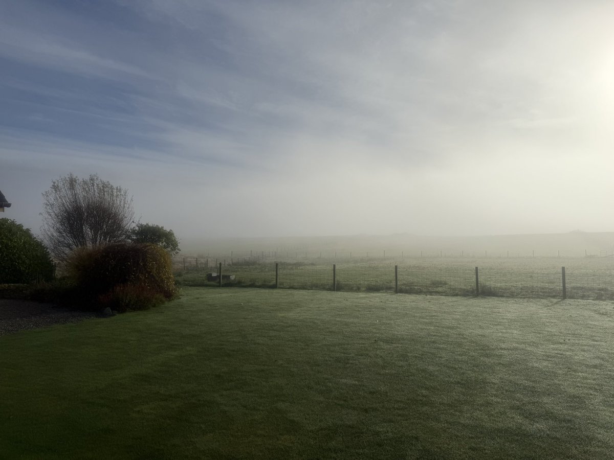 Atmospheric, frosty morning in Badenoch. 🌫️