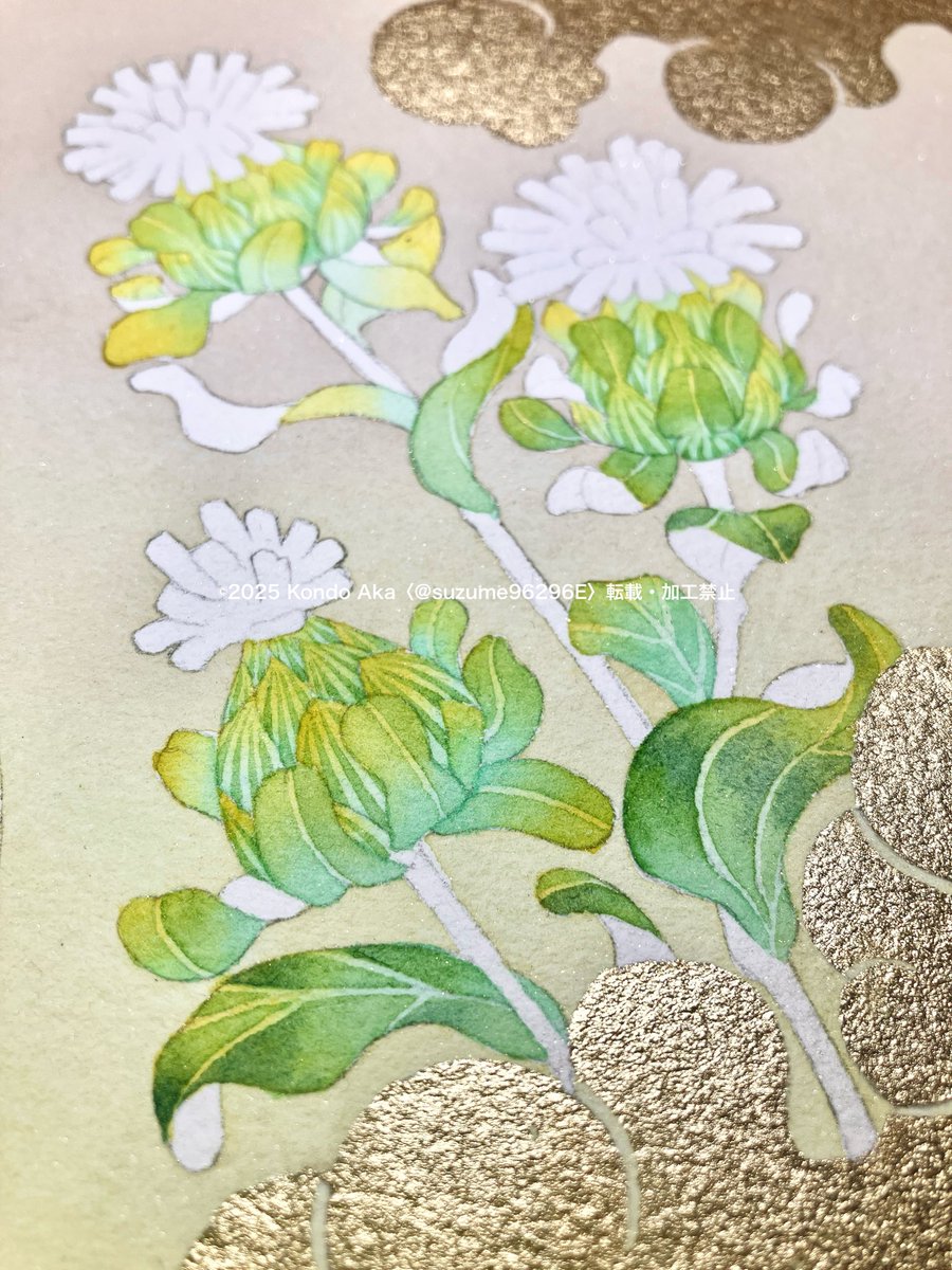 近藤 朱｜個展11/15〜19 (@suzume96296E) / Posts / X