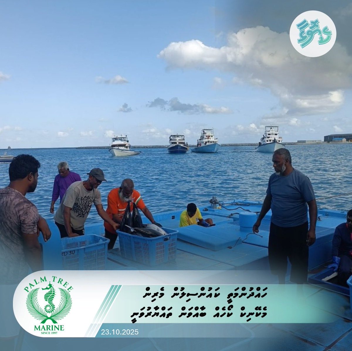 ހައްދުންމަތީ ކައުންސިލުން މެރިން މެކޭނިކް ކޯހެއް ބާއްވަން ތައްޔާރުވަނީ
keyolha.com/news/7953/