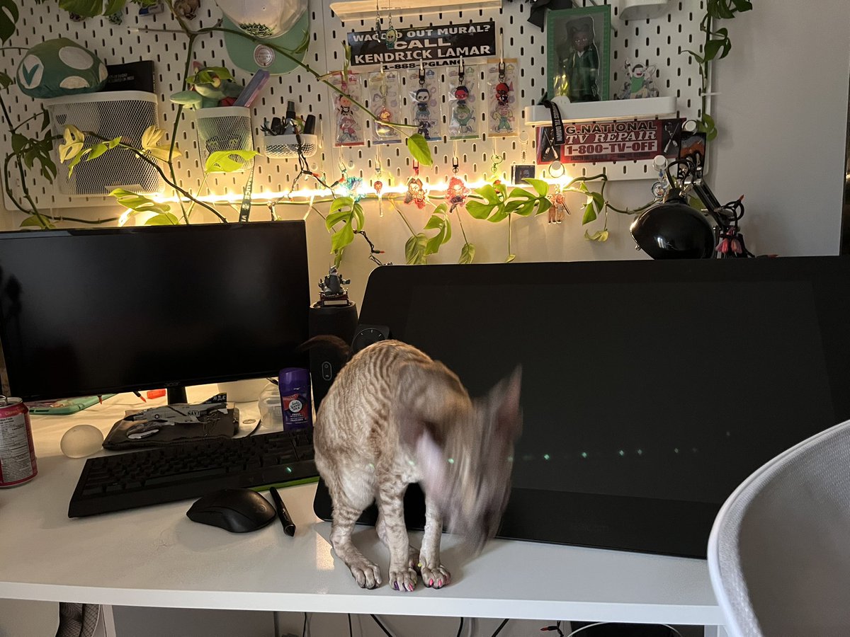 Simp (sinn side acc)🔞 tweet media