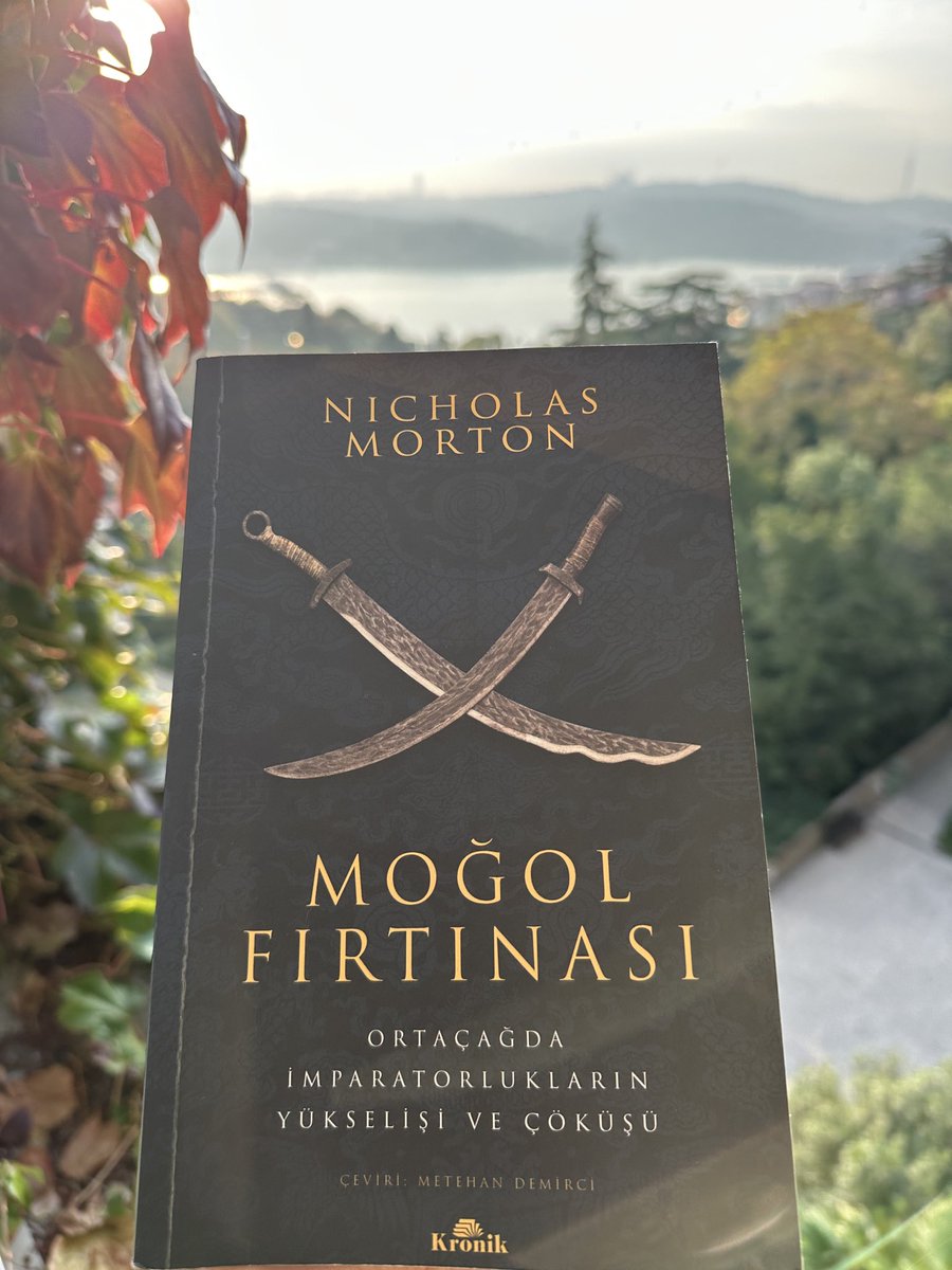 Şu an okuyorum. Moğolların batı politikasına odaklanan çok güzel bir çalışma. Özellikle ilhanlılara karşı kurulan Memlük Altınordu ittifakı ile ilgili kısım çok ilgimi çekti. Memlükler Karadeniz kıyısından getirdikleri ve Altınordu hanlığı sayesinde temin ettikleri kölelere