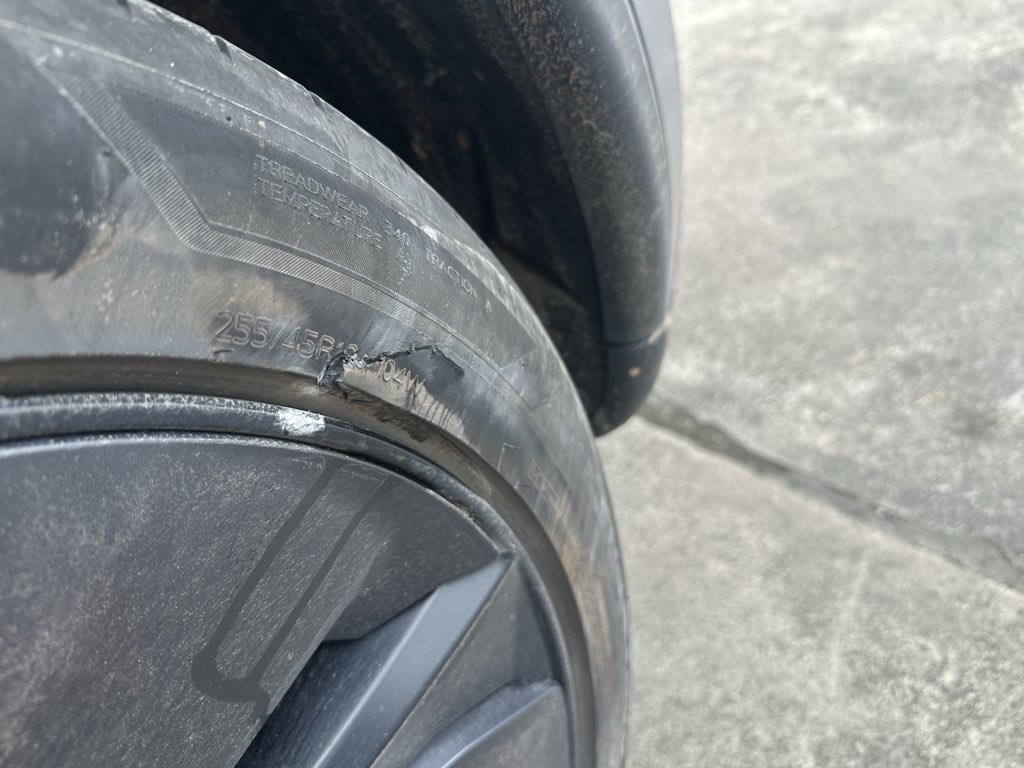 Warren Redlich - Chasing Dreams 🇺🇸 tweet media