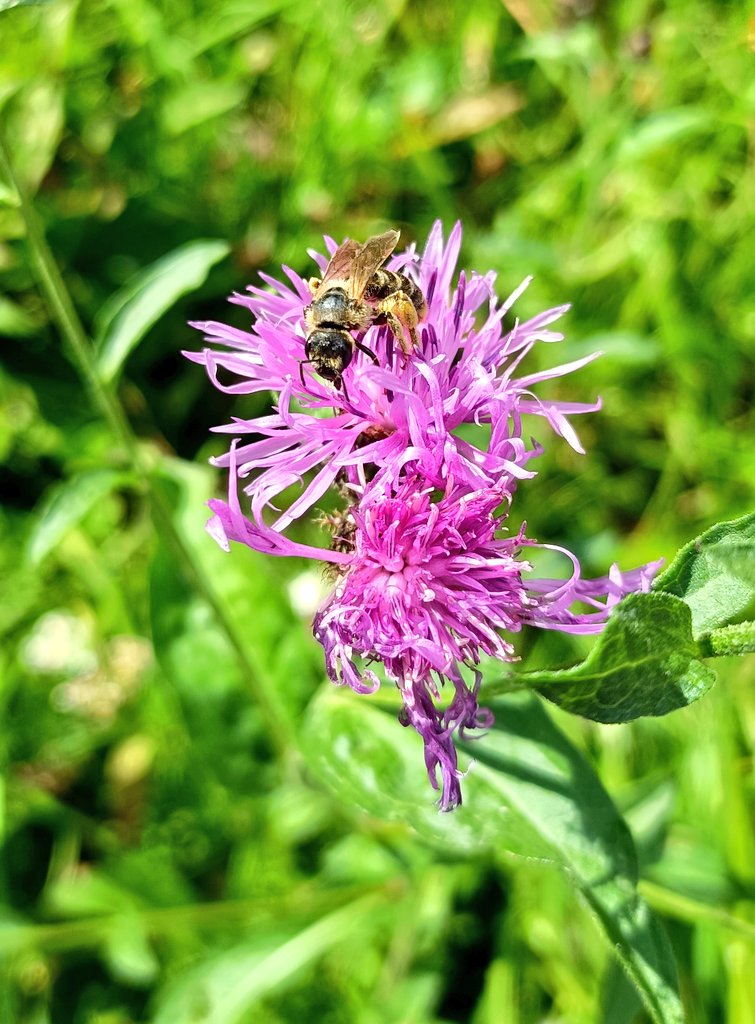 NATURE1422's tweet image. Good morning 🌅🌄