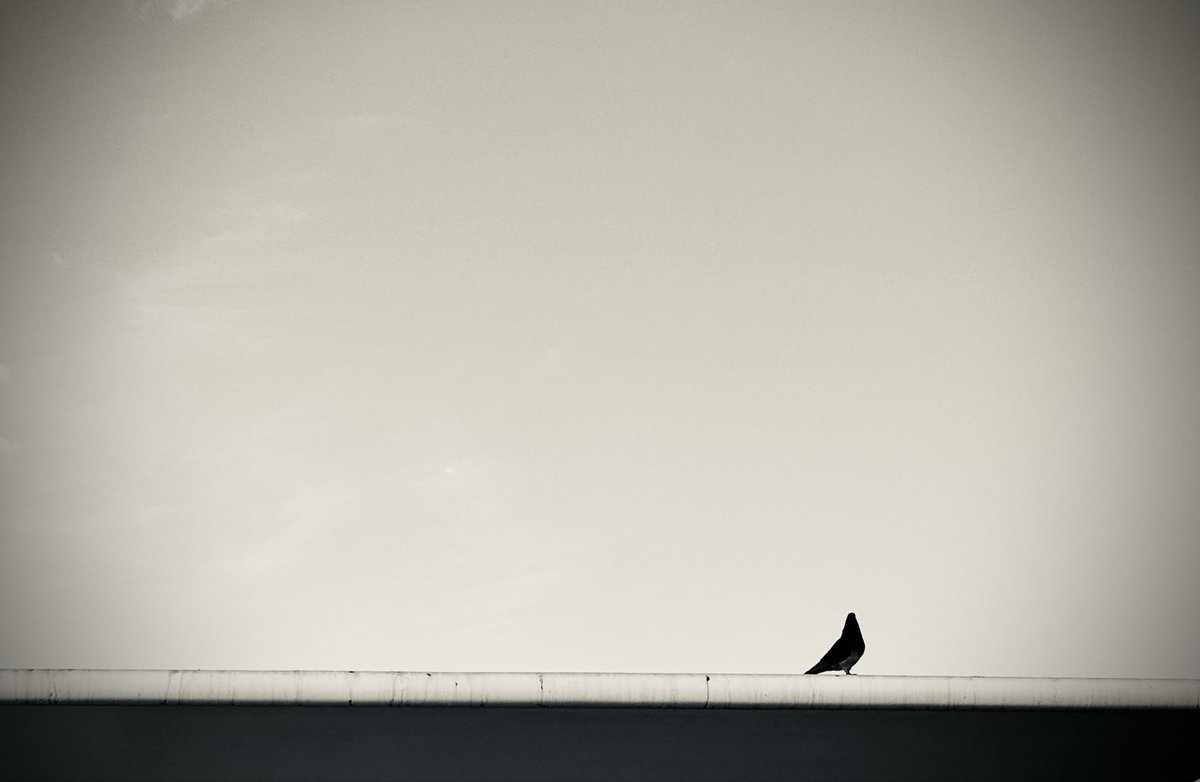 #ασπρόμαυρες 

           Ενα βήμα πιο πέρα 
         και αρχίζει ο ουρανός