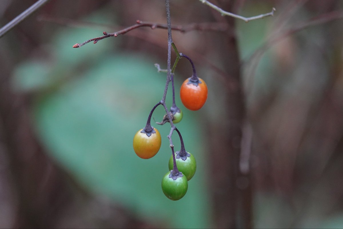 Goedemorgen. Fijne donderdag.