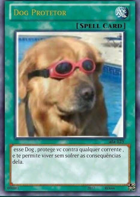 Shaolyin tweet media