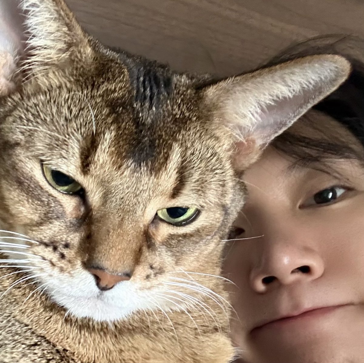 ชั้นเอ็นดูสิ่งนี้จำนวนมาก😭😭😭😭😭😭😭😭😭😭😭😭😭😭😭😭😭😭😭😭😭😭😭😭😭😭😭