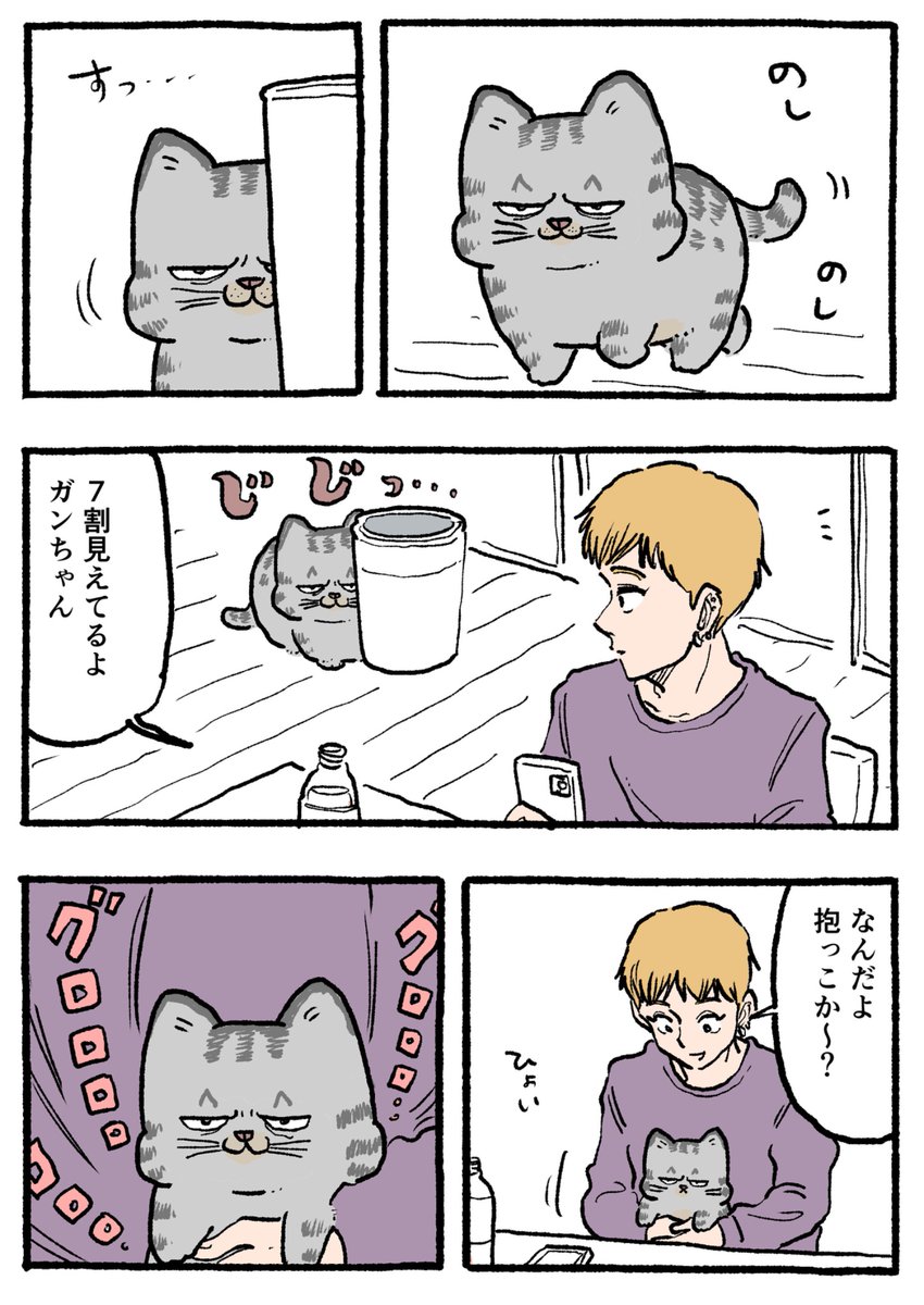 ねこおじ。〜木曜日と金曜日は番外編〜 ガンちゃんの気持ち👀