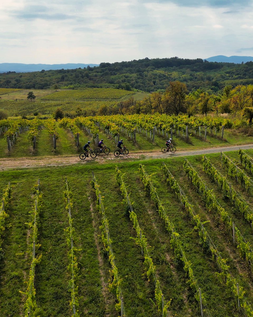Cycling in nature gives you a break from the everyday — a chance to pause, reset, and breathe a little deeper. 🌿🚲

How often do you give yourself that break?

#Bikademy #CyclingLife #ActiveMobility #EveryRideCounts