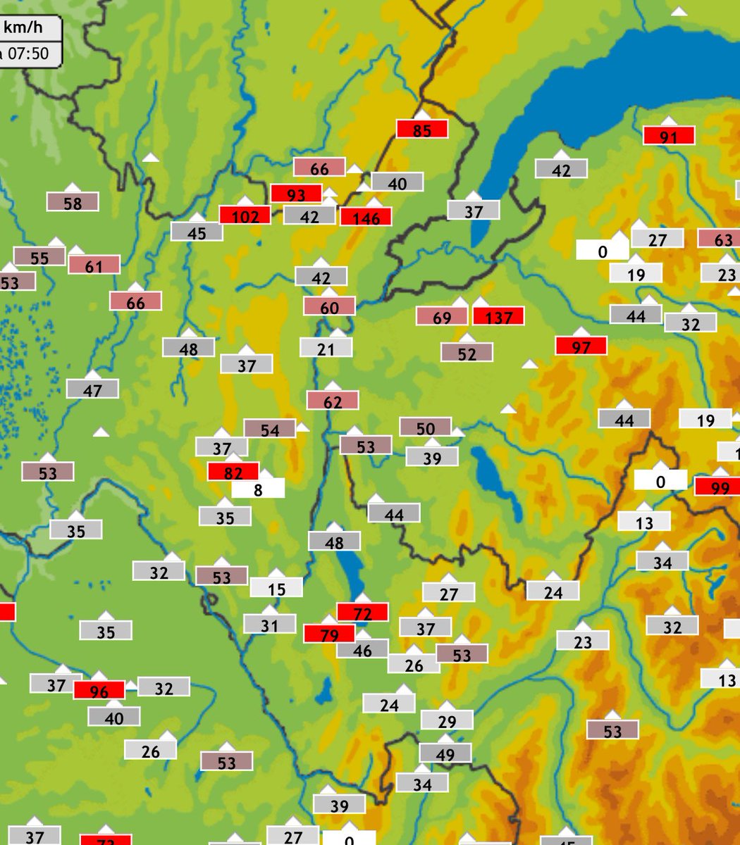 Romنald 🇫🇷 🇩🇰 tweet media