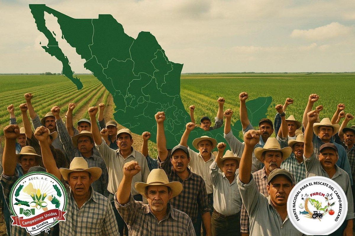 🚨 ¡¡ ATENCIÓN !! 🚨

CONVOCATORIA NACIONAL DEL CAMPO MEXICANO:

Lunes 27 de octubre

Compañeros productores de todo el país:
El próximo lunes 27 de octubre será un día clave para el campo mexicano. Ese día se llevará a cabo una reunión con el Gobierno Federal, en la que