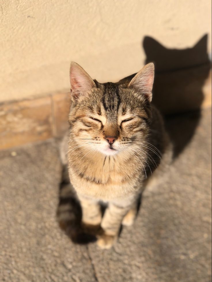 Günün güzelliği..

☀️ 𝙂 シ︎N a Y D ı N