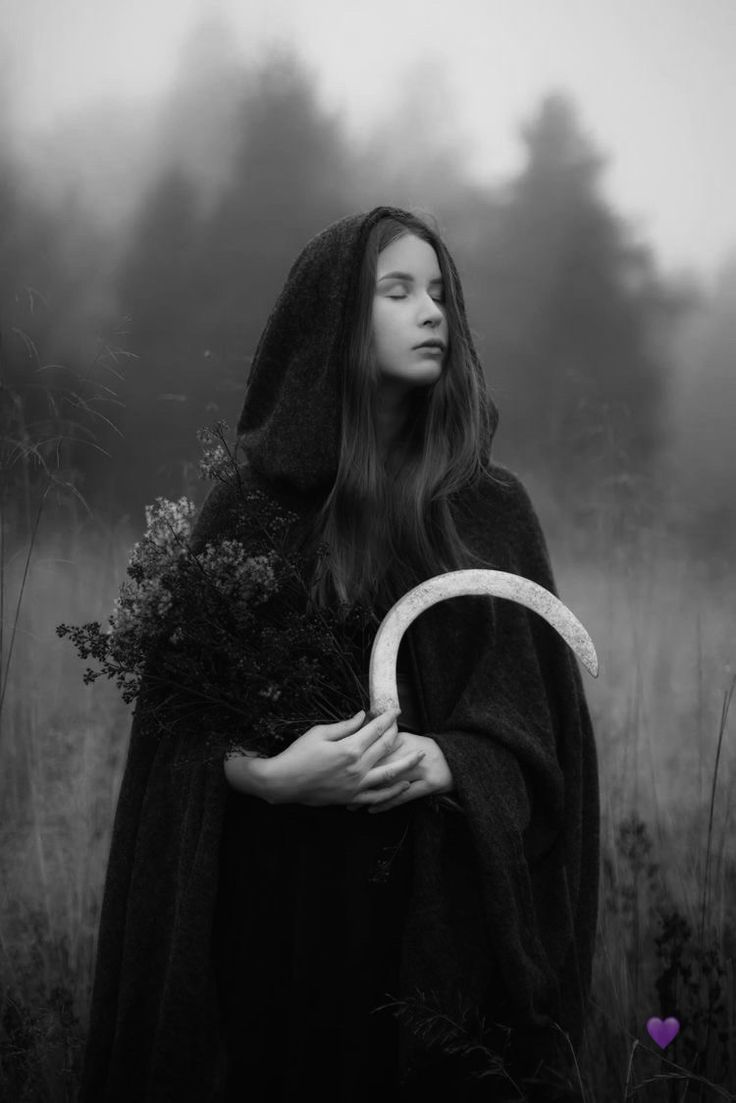 Reflections on harvest.