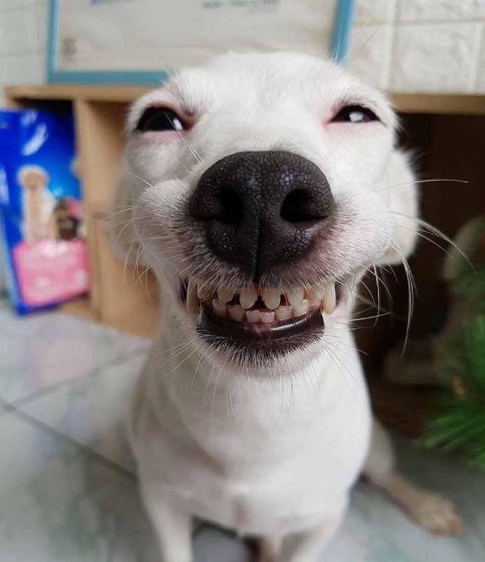 공놀 (@ball8769) on Twitter photo 