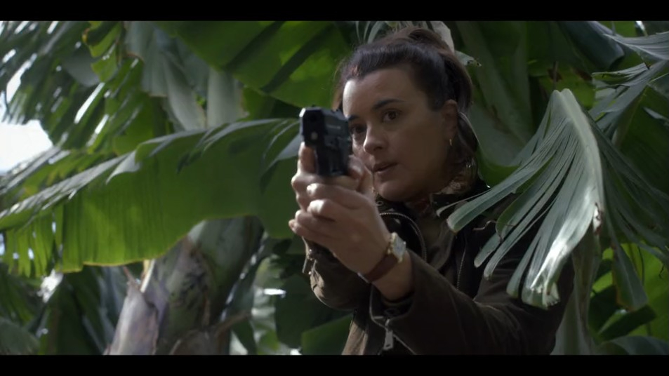 JavaJunkie91's tweet image. GUN FACE

#TonyandZiva