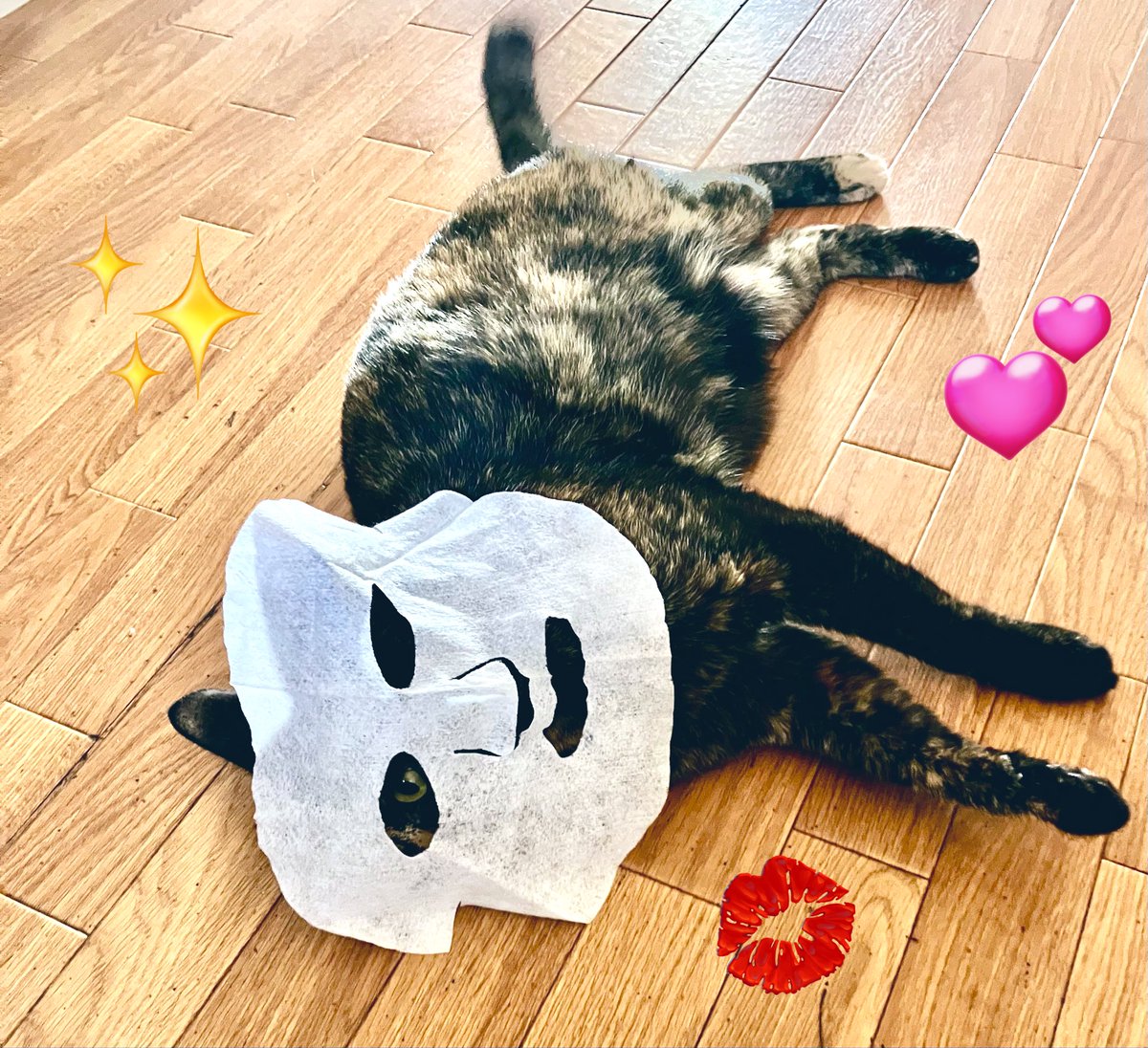 あややページ あやや on X