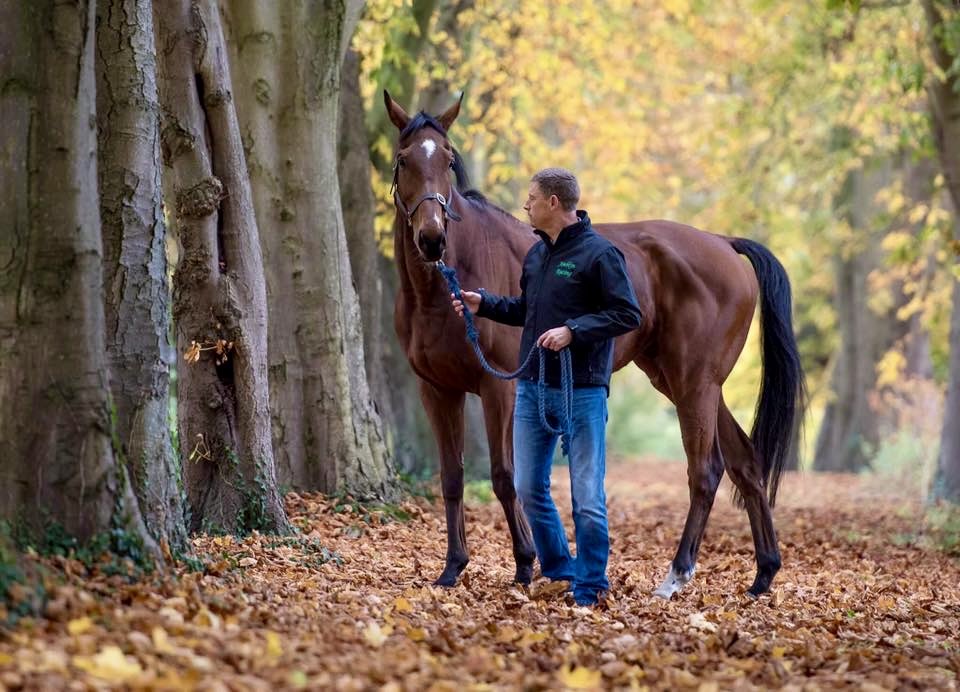 Michael Harris tweet media