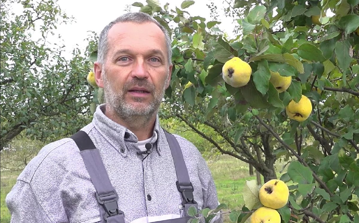 🌱Join our #ReForest #Webinar to explore how #agroforestry strengthens value chains, boosts productivity &amp; supports livelihoods

🎯 Hear from the 🇭🇺 Hungarian Living Lab
💻 Learn the FarmTree® tool

🔗 agroreforest.eu/event/farmtree…

#FarmTree #SustainableFarming #HorizonEurope