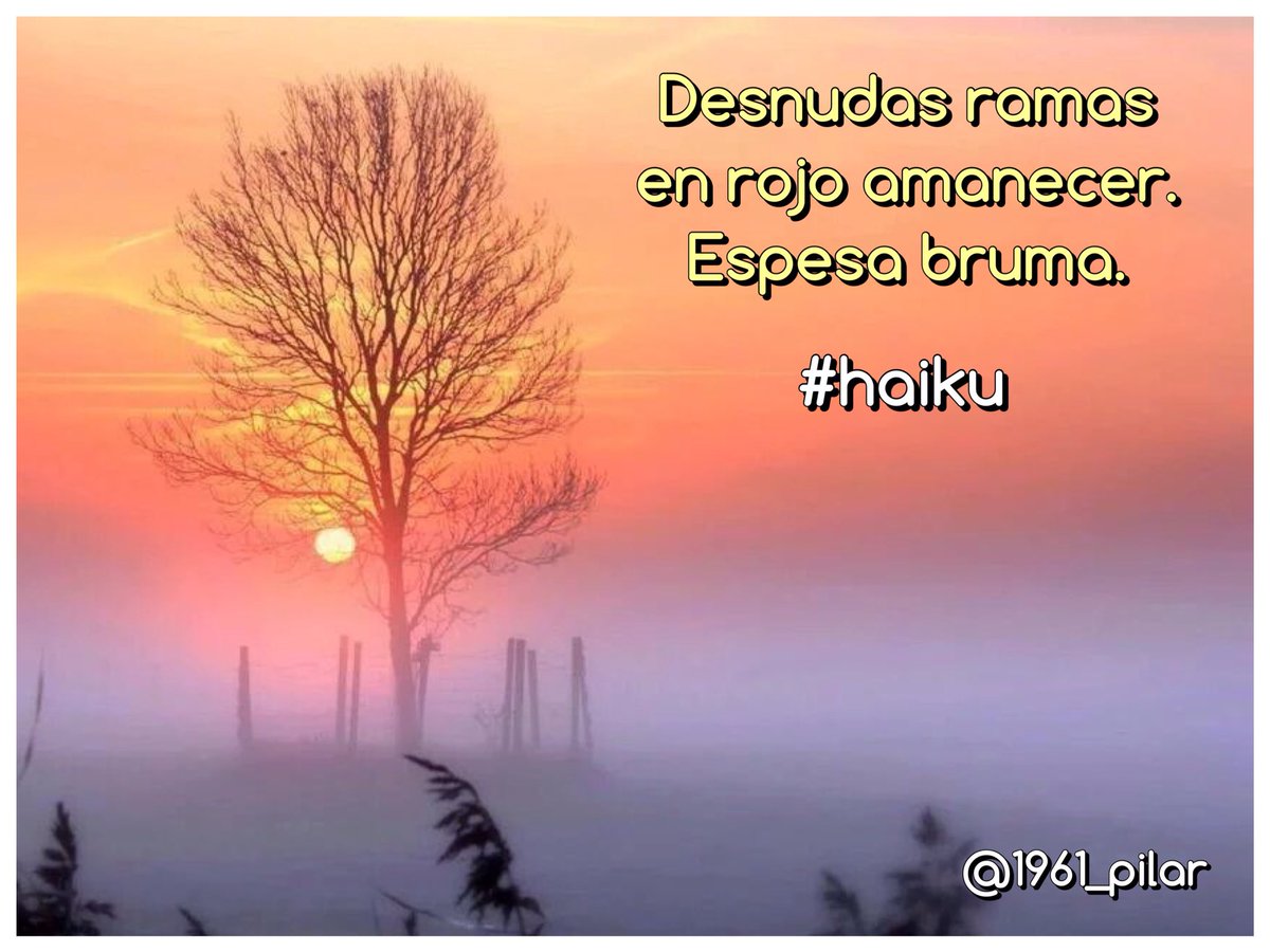 Un nuevo amanecer ¡Buenos días!

Desnudas ramas...

~haiku~

#LYF15  #VAFlorDePiel