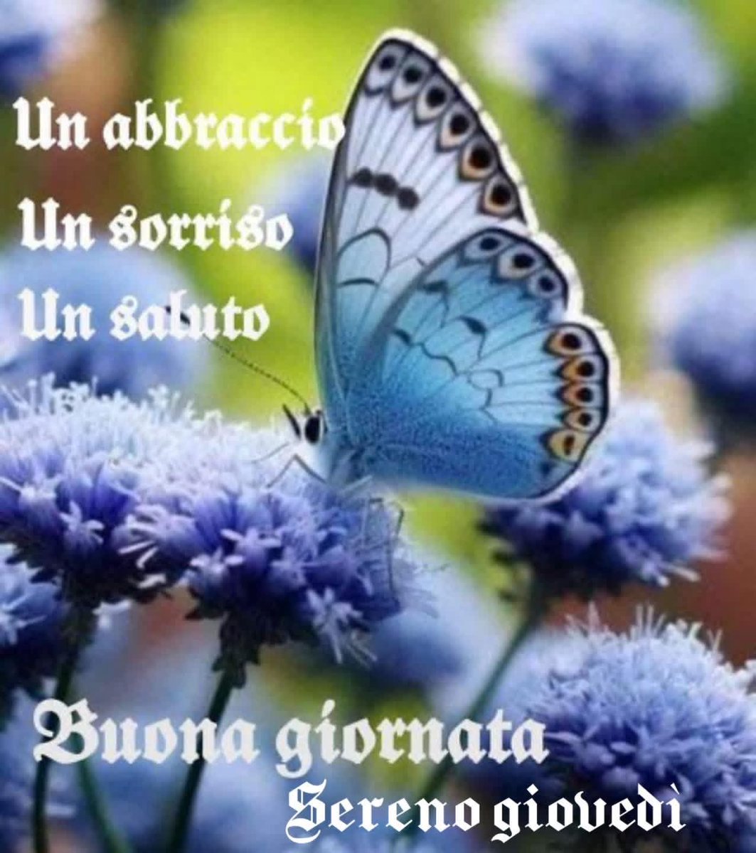 RITABIANCHi56 tweet media