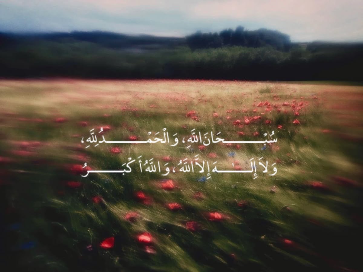 صورة (@__clli) on Twitter photo 