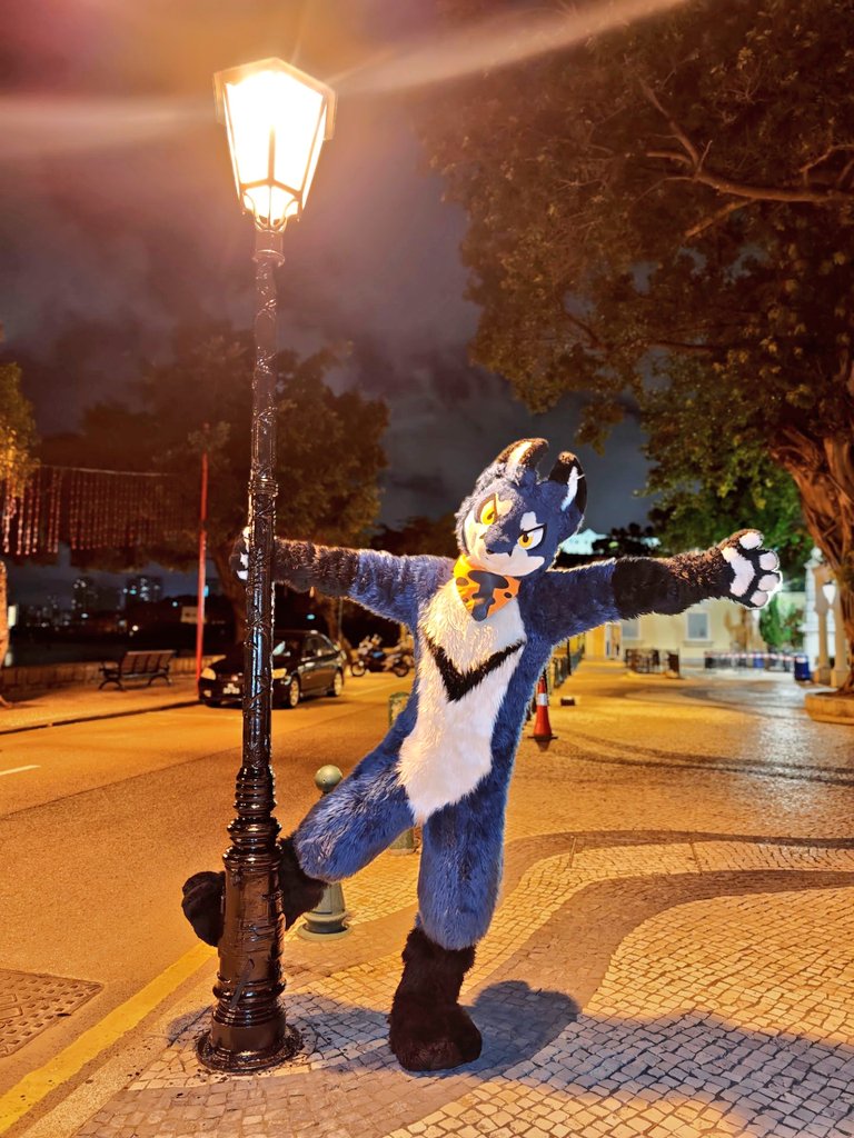 超楽しかった～～～
#fursuit   #furry