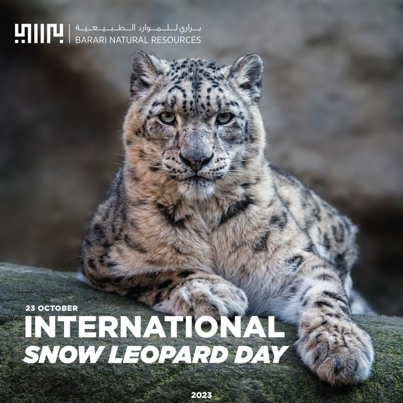 zaighamkhan's tweet photo. Today is International Snow Leopard Day. Pakistan is home to these beautiful mountain cats in Gilgit-Baltistan and Chitral. Let’s protect them and keep our mountains wild and alive. https://t.co/iCUJwaCmvP