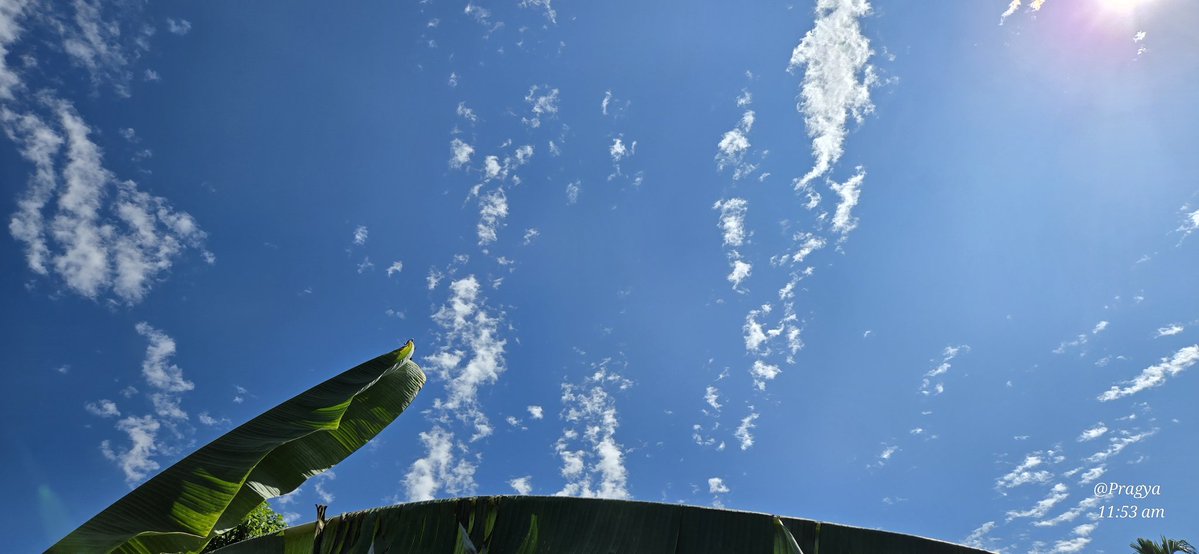 KavyaGarg_'s tweet image. Theme: Blue Sky
Haven't seen such clear sky in a while.
Share/QP with you sky clicks.
Also, Happy Bhaidhooj to everyone.
#Theme_pic_india_sky