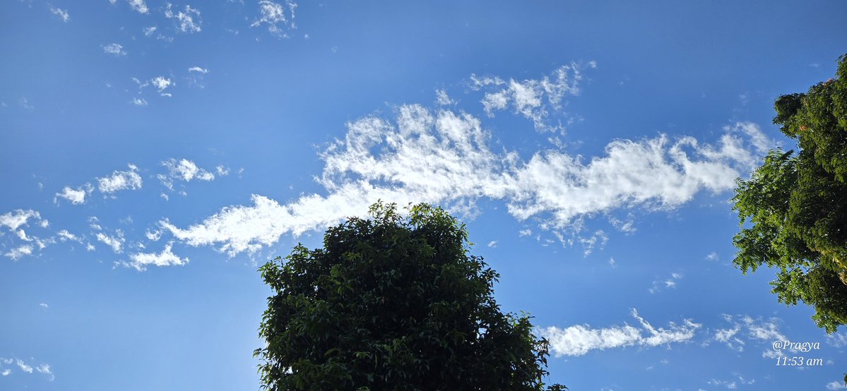KavyaGarg_'s tweet image. Theme: Blue Sky
Haven't seen such clear sky in a while.
Share/QP with you sky clicks.
Also, Happy Bhaidhooj to everyone.
#Theme_pic_india_sky