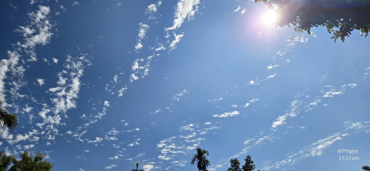 KavyaGarg_'s tweet image. Theme: Blue Sky
Haven't seen such clear sky in a while.
Share/QP with you sky clicks.
Also, Happy Bhaidhooj to everyone.
#Theme_pic_india_sky