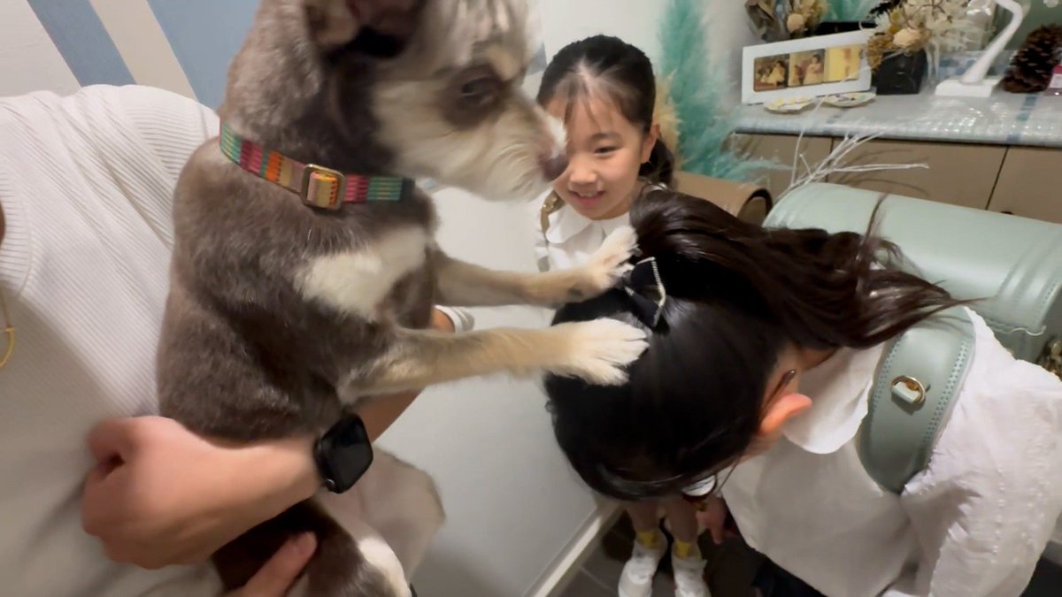 cx_mezamashi's tweet image. #きょうのわんこ に登場してくれたのは「アラン」でした🐶学校へ行く娘さんたちを見送る時無事に過ごせるようにおまじないとして前足で頭をタッチするんだって🙋‍♀️

きょうのわんこはFODで無料配信中→fod.fujitv.co.jp/title/3291/

#めざましテレビ