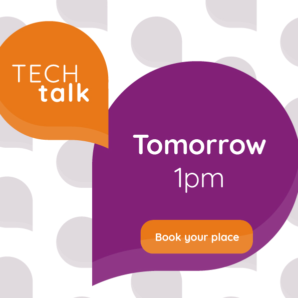 Everglade Windows tweet media