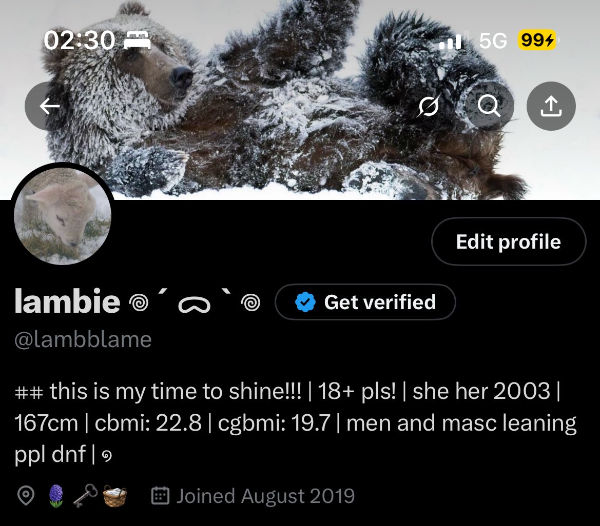 lambblame's tweet image. new layout so ugly brah
