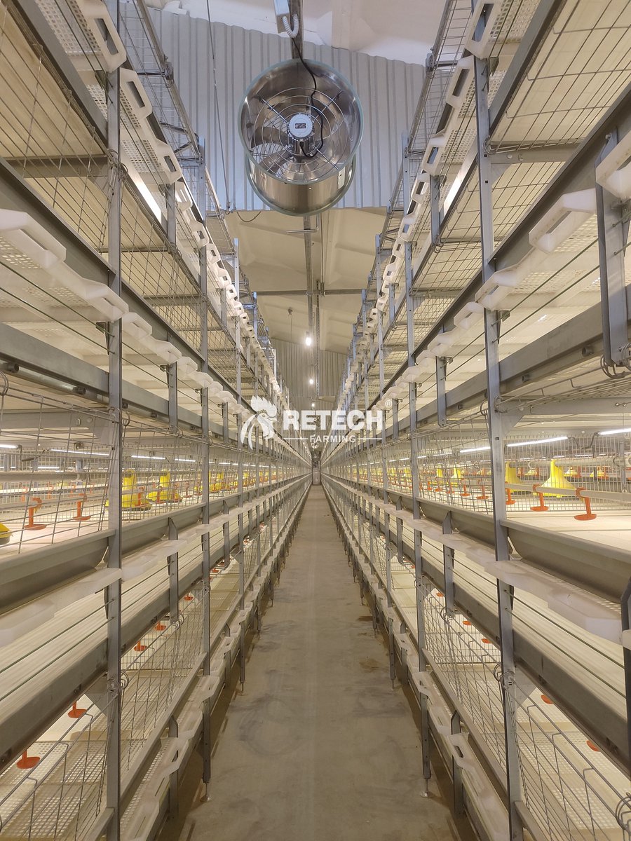 retechfarming's tweet image. 🇧🇾 Broiler project in Belarus — powered by Retech Farming!
Automatic feeding ✅
Clean environment ✅
Efficient management ✅

Smart poultry solutions for farms worldwide 🐔💪

📲 WhatsApp: +86 185 6181 8850

#RetechFarming #Belarus #BroilerFarm #chickenfarm #poultryfarming