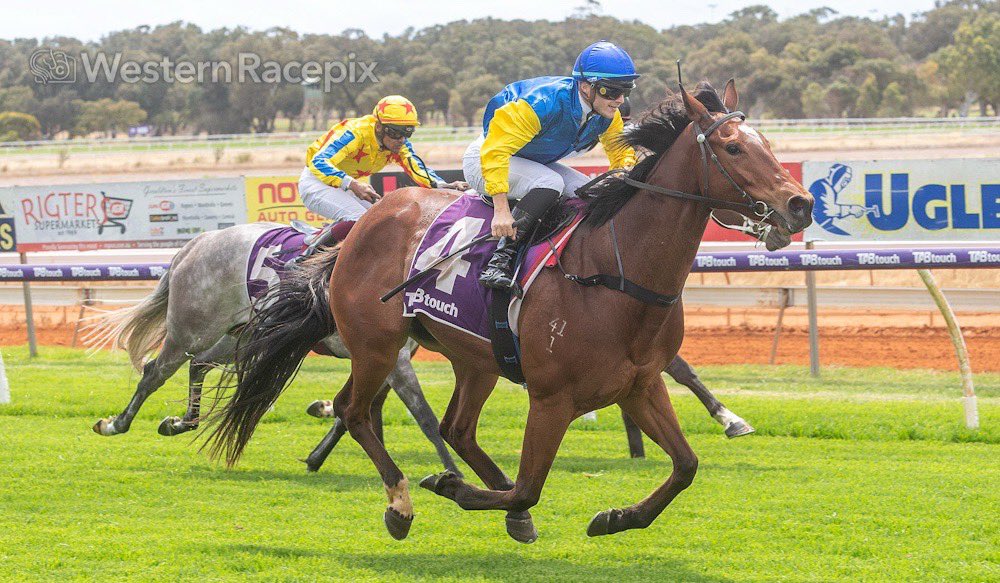 Western Racepix tweet media