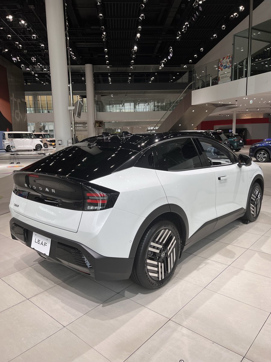 本日までセール❗️超絶希少❗️アロカシアマクロリザオーレア新葉展開中✨️ 超希少❗️黄斑❗️アロカシア マクロリザ オーレア✨ - メルカリ