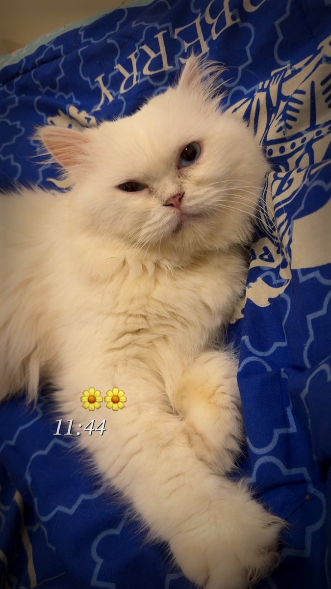 GM CT
The world runs on trust but <a href="/aegis_im/">Aegis</a> is here to make sure that trust is earned, not assumed.

Building the future of on-chain security, one layer of protection at a time. 🛡️