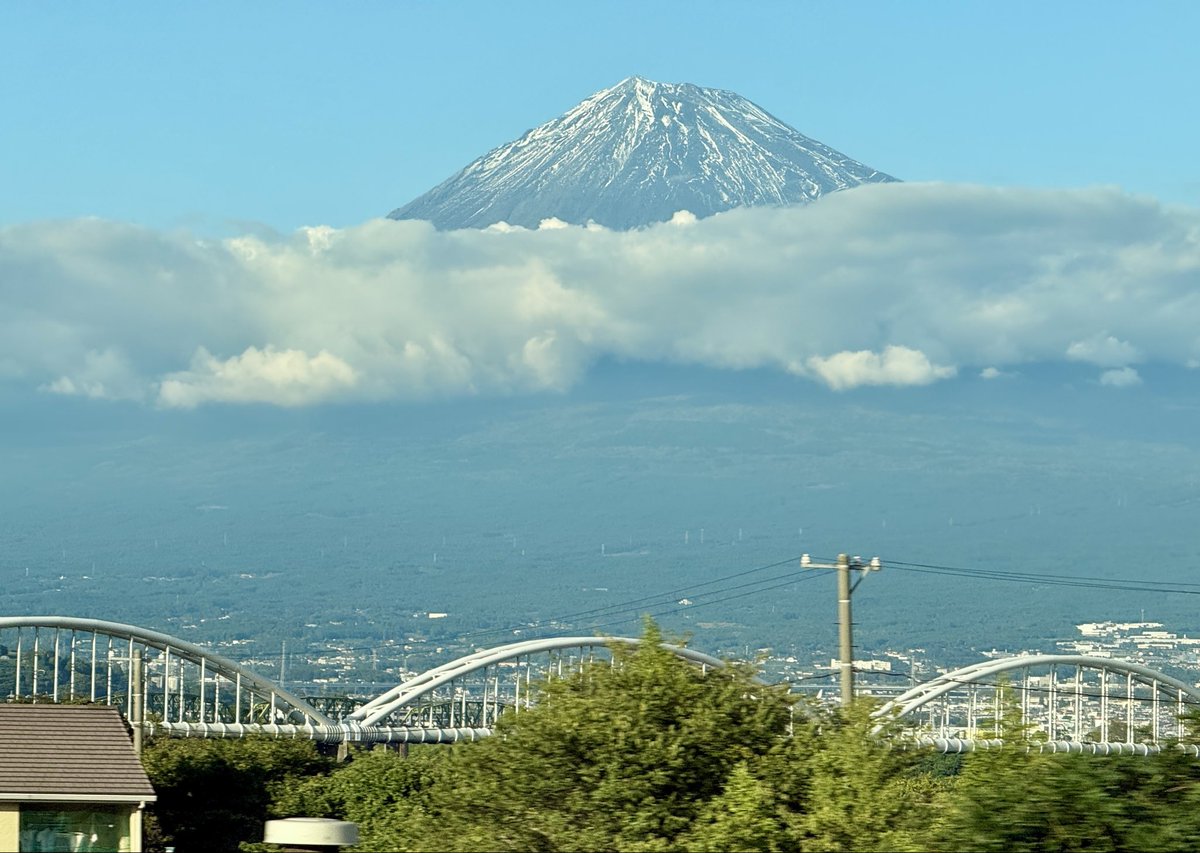 ふじさーん！🗻